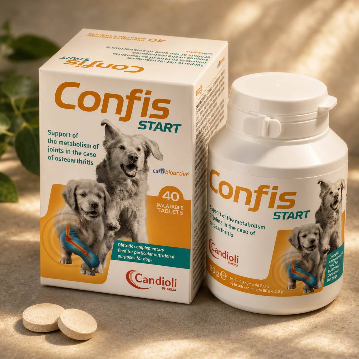 Confis Start