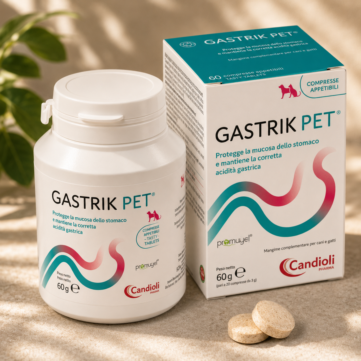 Gastrik Pet